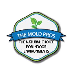 The Mold Pros The Mold Pros