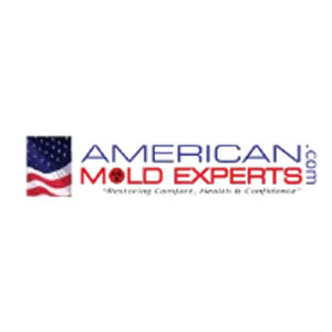 American Mold Experts American Mold Experts