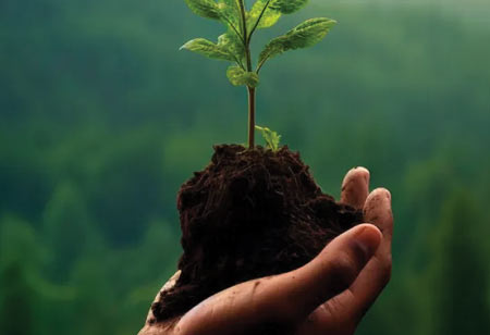 Pioneering Solutions in Environmental and Ecological Services Pioneering Solutions in Environmental and Ecological Services